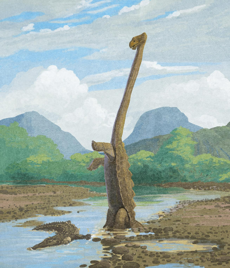 Illustration for article titled Cryptozoologicon Could Revolutionize the Field of Monster Studies